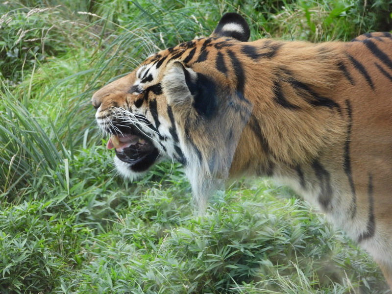 dscn1049.jpg