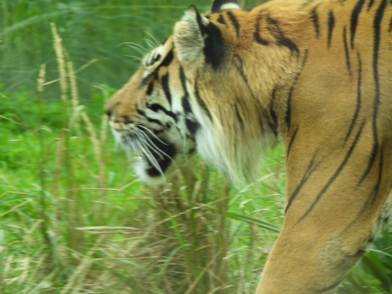 dscn1052.jpg