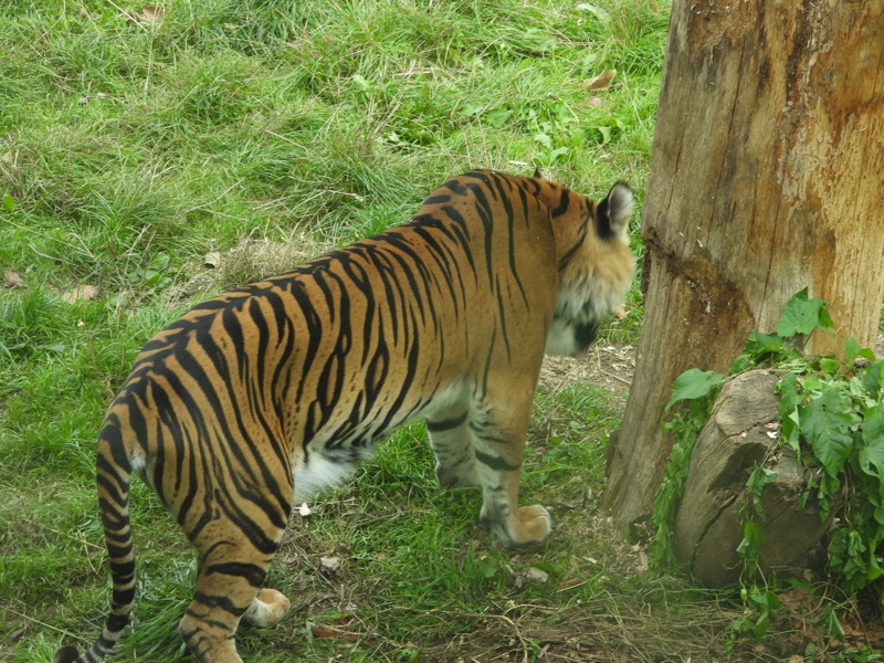 dscn1058.jpg