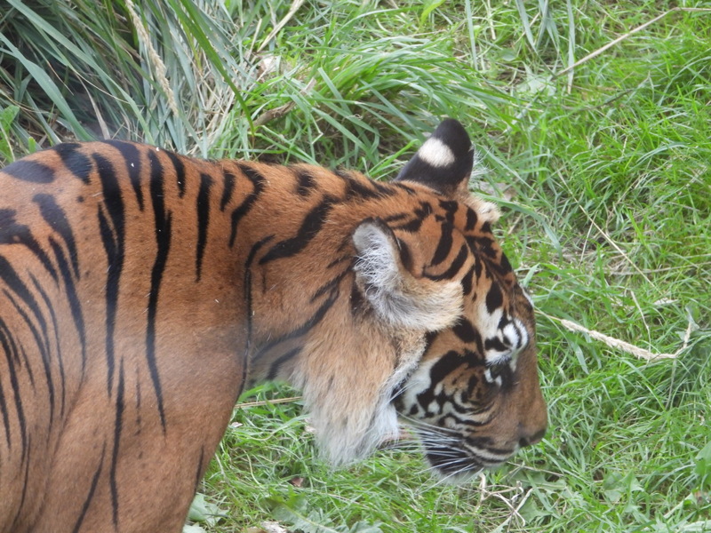 dscn1059.jpg