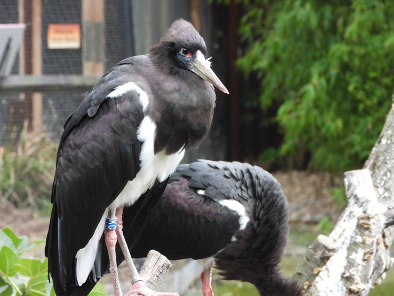 dscn1075.jpg