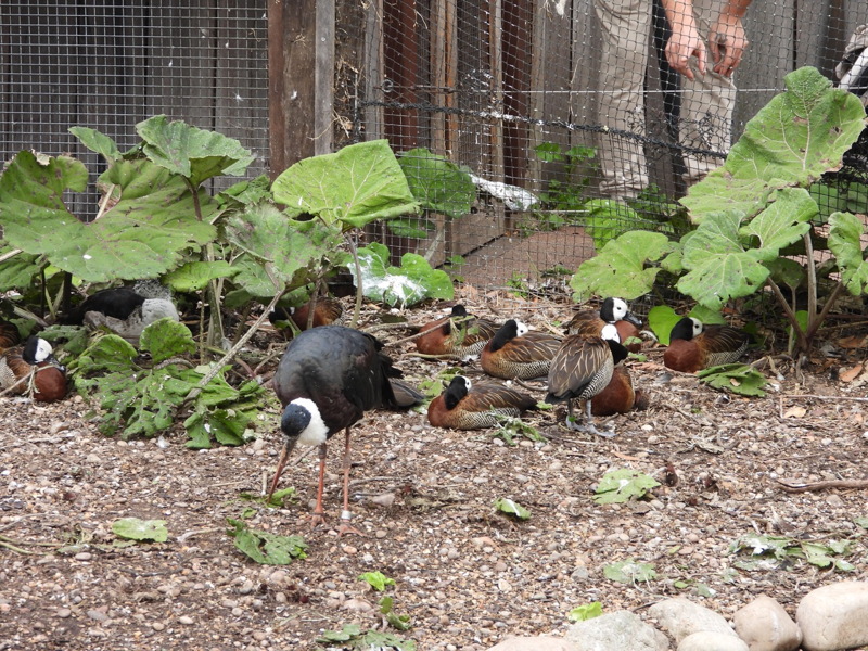 dscn1078.jpg