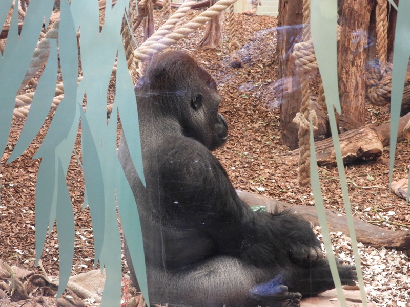 dscn1081.jpg