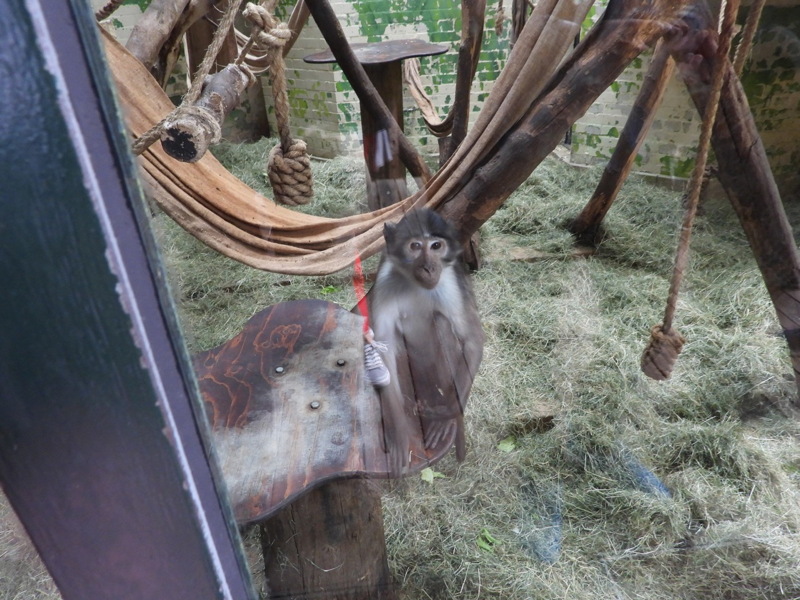 dscn1082.jpg