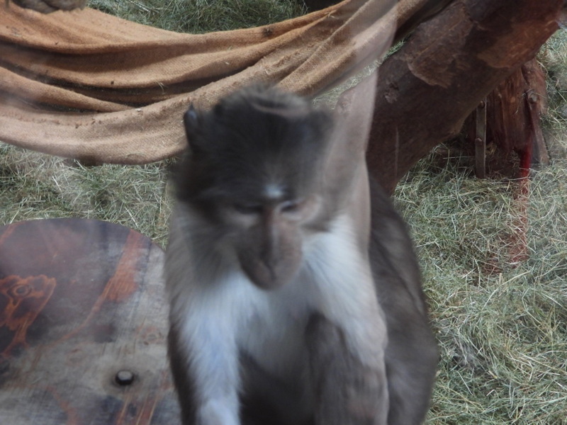 dscn1083.jpg