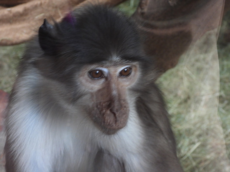 dscn1084.jpg
