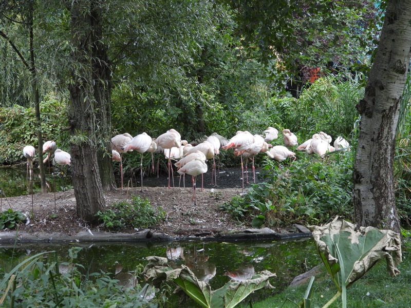 dscn1088.jpg