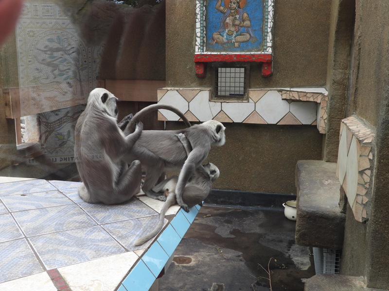 dscn1090.jpg