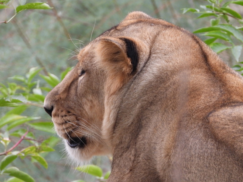 dscn1103.jpg