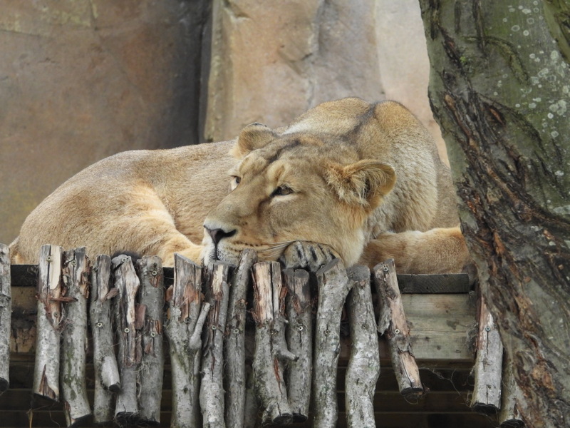 dscn1104.jpg