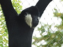 dscn1057.jpg