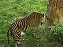 dscn1058.jpg