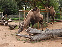 dscn1065.jpg