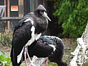 dscn1075.jpg