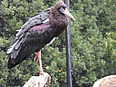 dscn1077.jpg