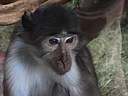 dscn1084.jpg